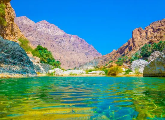 wadi tiwi